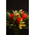 Exotic Bouquets - Redondo (Maracass/Shampoo)